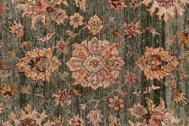 Ziegler Farahan - 8
