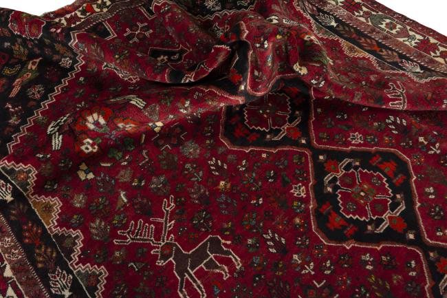 Shiraz - 1
