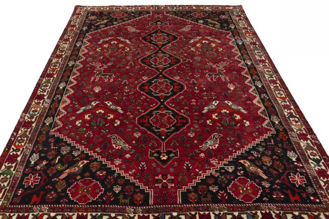 Shiraz - 5