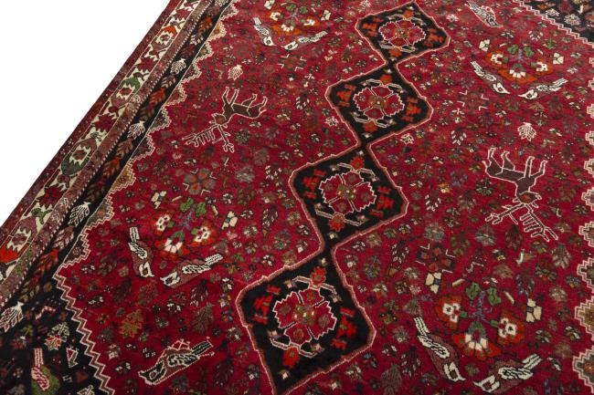Shiraz - 6