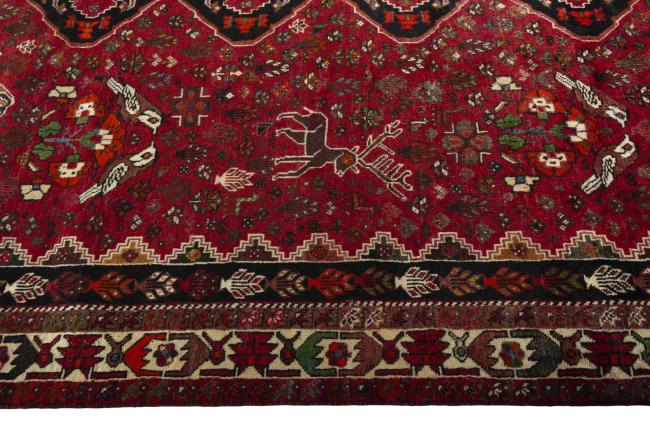 Shiraz - 9