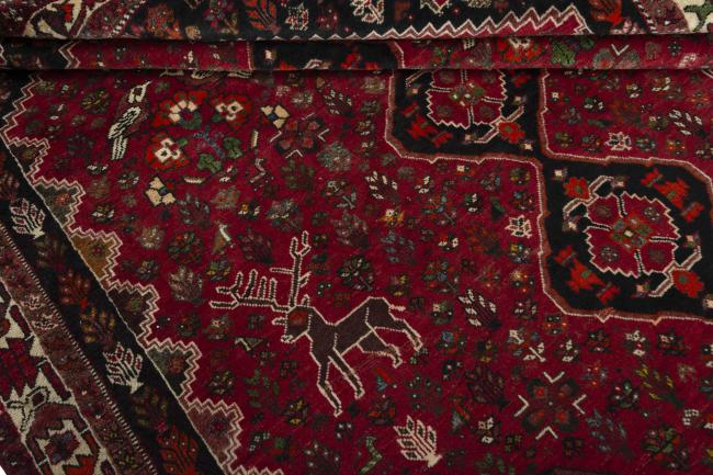 Shiraz - 10