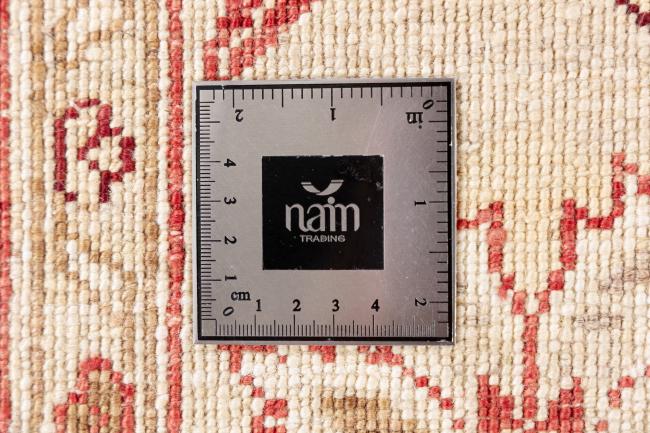 Ziegler Farahan - 10