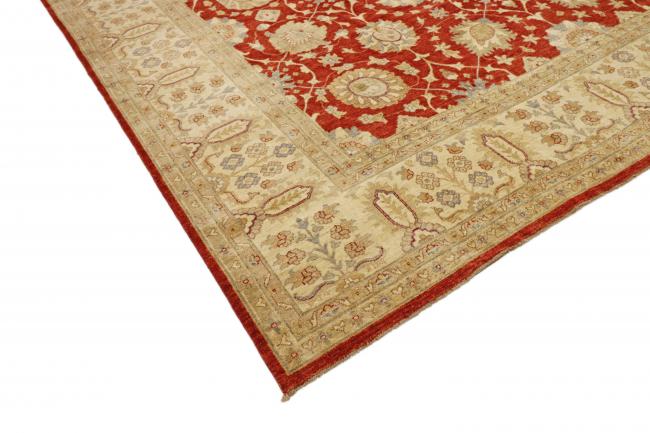 Ziegler Farahan - 3