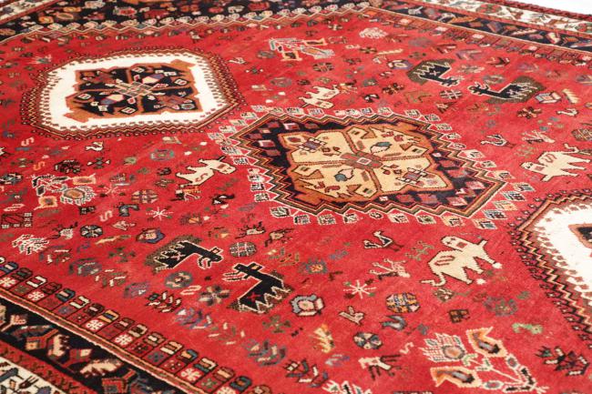 Shiraz - 6