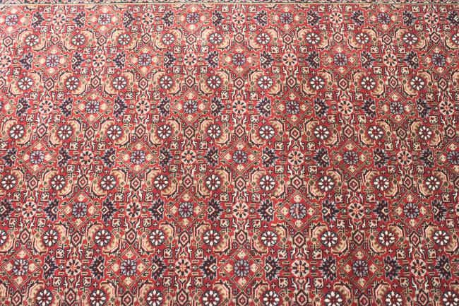 Indo Bidjar Super - 5