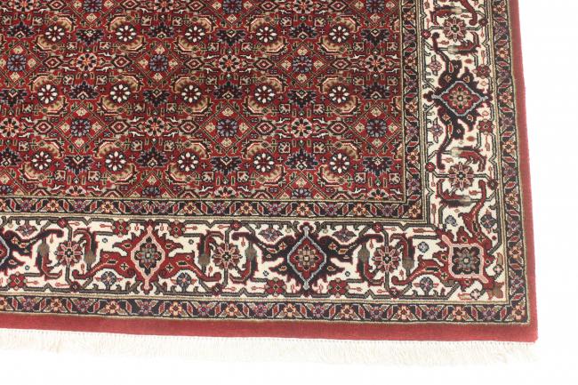 Indo Bidjar Super - 7