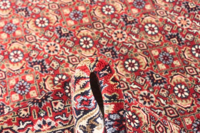 Indo Bidjar Super - 9