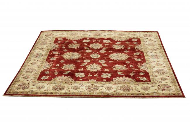 Ziegler Farahan - 1