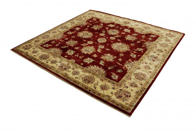 Ziegler Farahan - 2