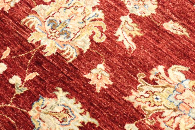 Ziegler Farahan - 8