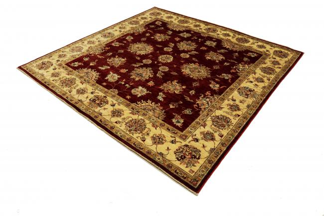 Ziegler Farahan - 12