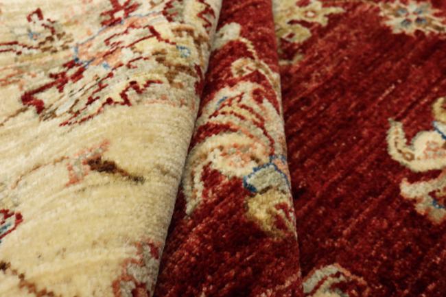 Ziegler Farahan - 14