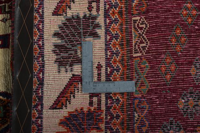 Shiraz - 9