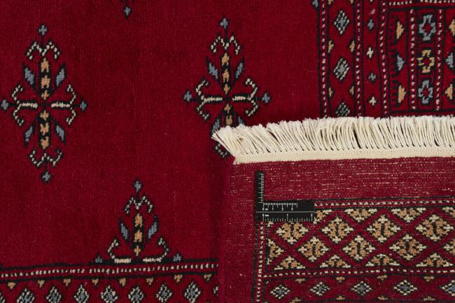 Pakistan Buchara 3ply - 1