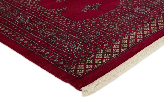 Pakistan Buchara 3ply - 3