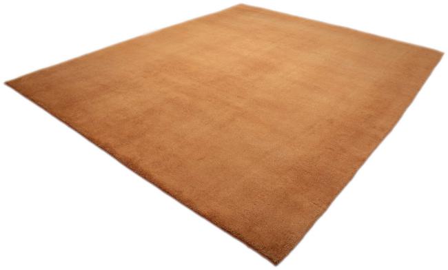 ペルシャ ギャッベ ペルシャ ロリbaft - 2