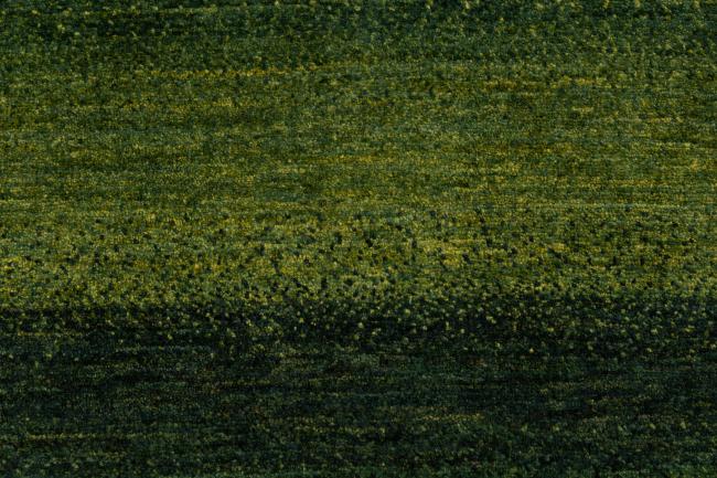 Perzisch Gabbeh Loribaft Atash - 6