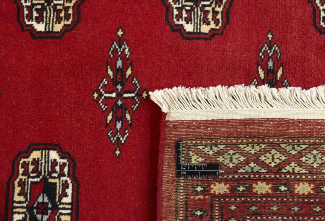 Pakistan Buchara 2ply - 1