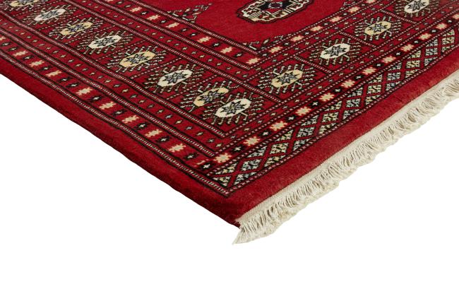 Pakistan Buchara 2ply - 3