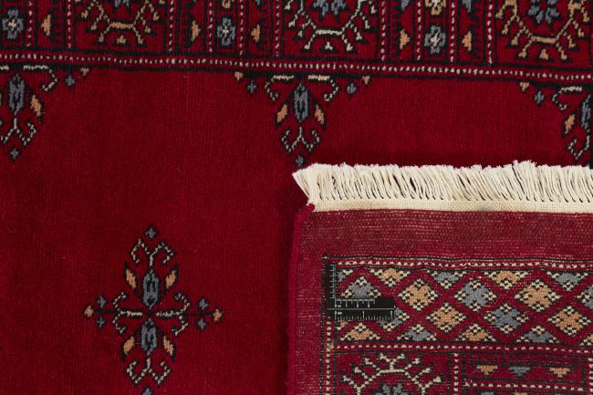 Pakistan Buchara 3ply - 1