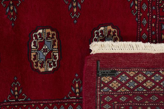 Pakistan Buchara 3ply - 1
