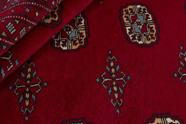 Pakistan Buchara 3ply - 2