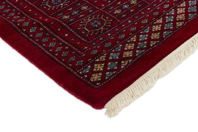 Pakistan Buchara 3ply - 3