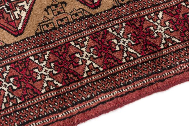 Pakistan Buchara 2Ply - 4