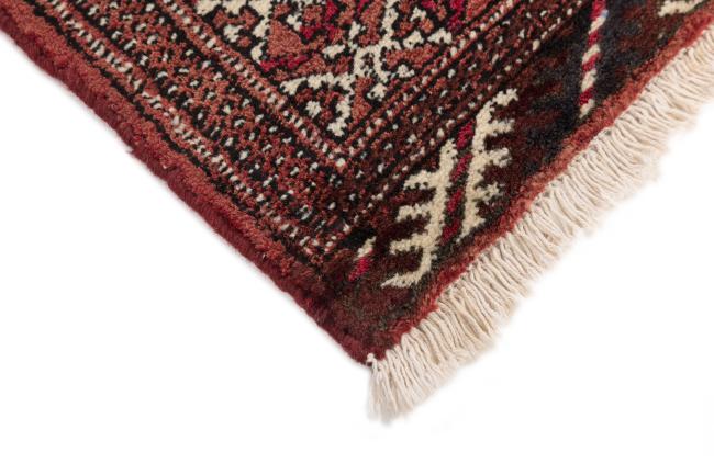 Pakistan Buchara 2Ply - 5