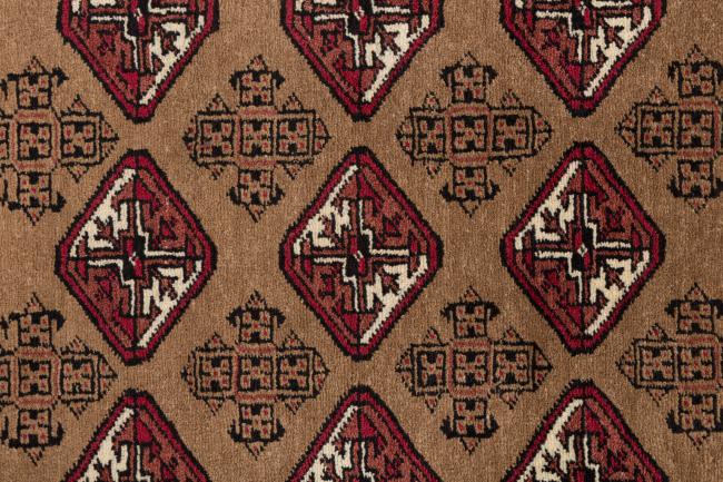 Pakistan Buchara 2Ply - 7
