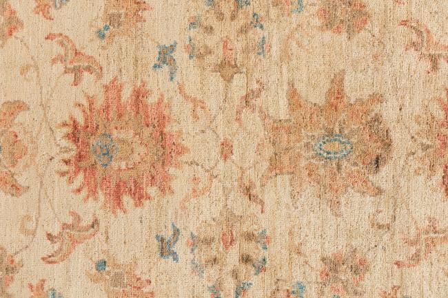 Ziegler Farahan - 6