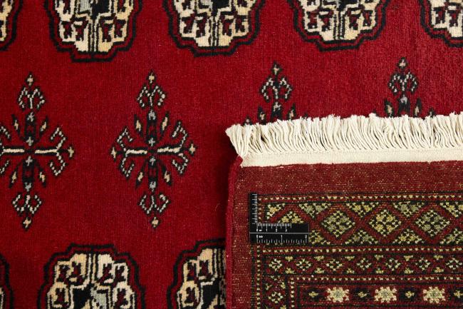 Pakistan Buchara 2ply - 1