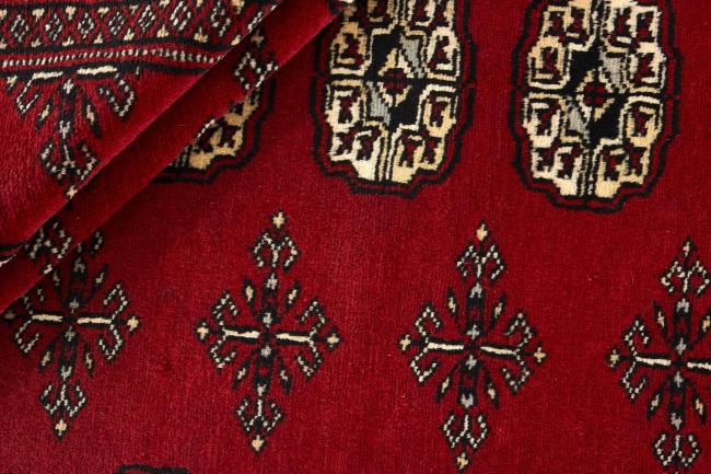 Pakistan Buchara 2ply - 2