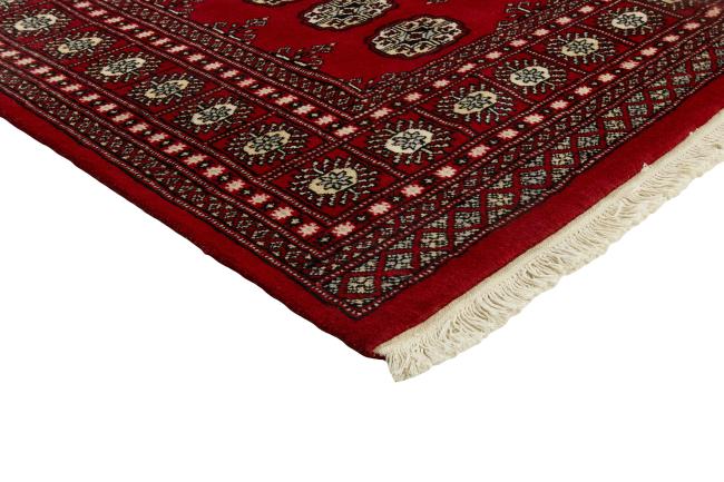 Pakistan Buchara 2ply - 3