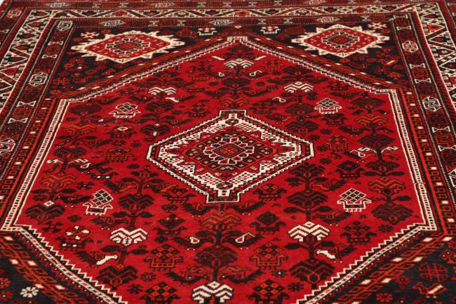 Shiraz - 7