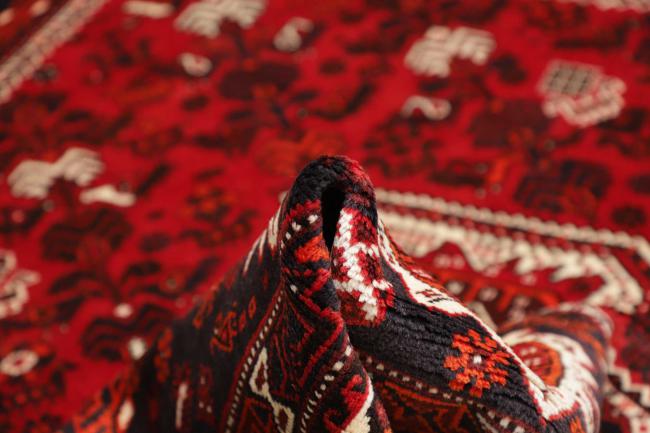 Shiraz - 8