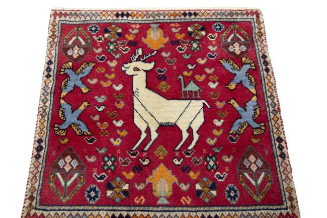 Shiraz - 3