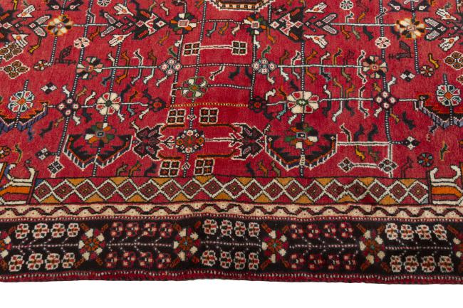 Shiraz - 7