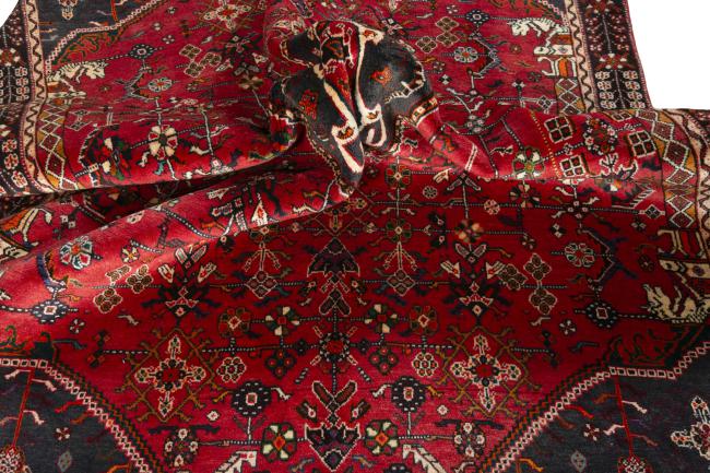 Shiraz - 9