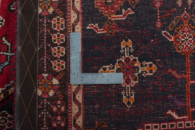 Shiraz - 10