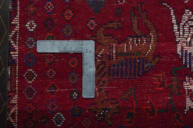 Shiraz - 4