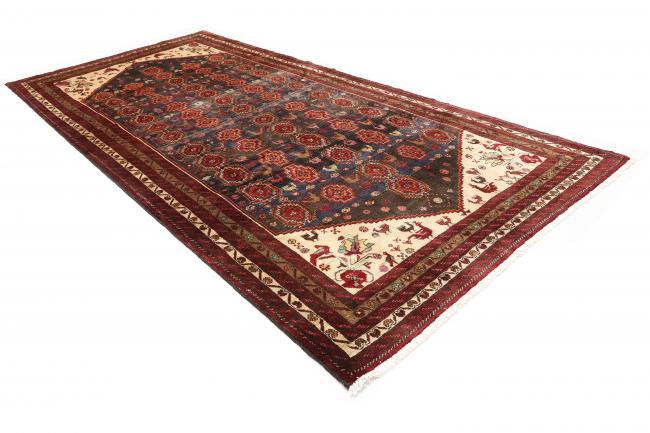 Shiraz Alt - 2