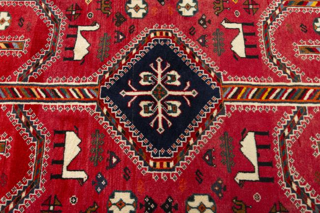 Shiraz - 5