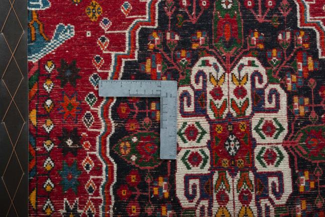 Shiraz - 4