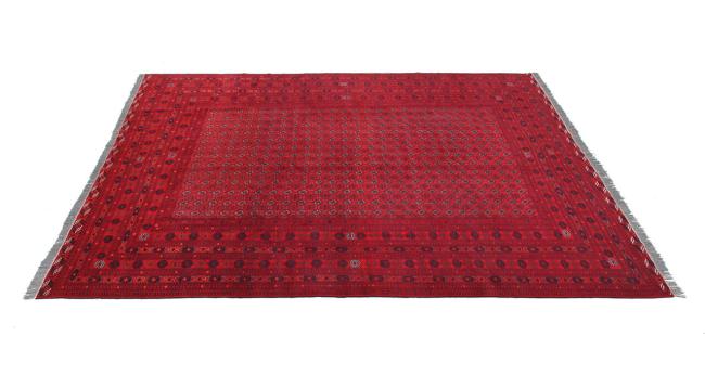Afghan Mauri - 7