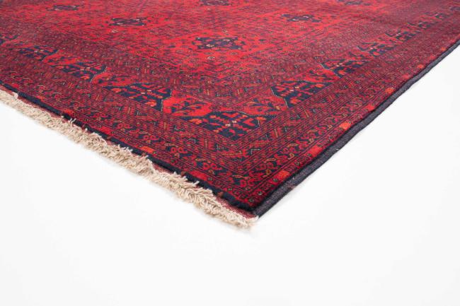 Khal Mohammadi Belgique - 2