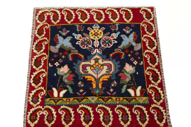 Shiraz - 3