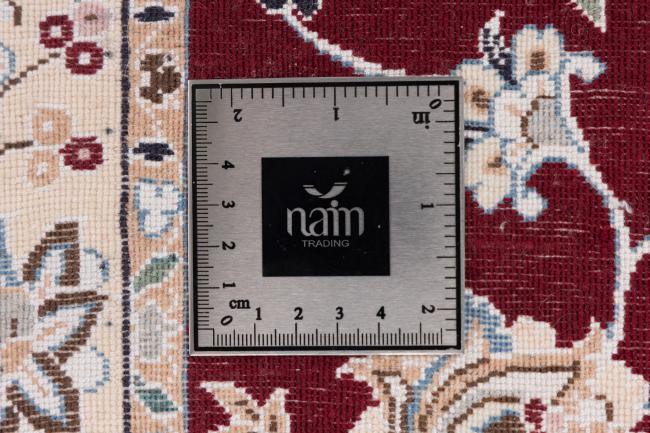 Nain 6La - 8