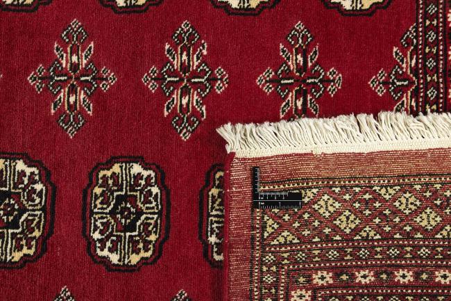Pakistan Buchara 2ply - 1